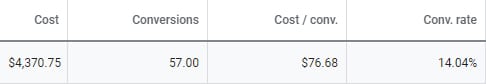 Google Ads Total Metrics